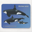 Search for dolphin mouse mats Whale