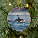 Search for baby shark christmas tree decorations Sea