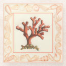 Search for conch coasters Coral reef