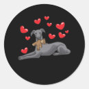 Search for italian greyhound stickers Piccolo levriero italiano