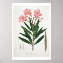 Search for ros posters L f j