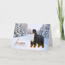 Search for bernese mountain dog christmas cards Puppy