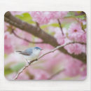 Search for bird tree mouse mats Flowers