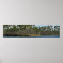Search for swamp photography Florida