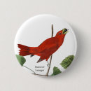 Search for birdwatching badges Birder