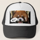 Search for red panda hats Black