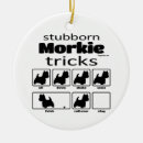 Search for morkie Dad