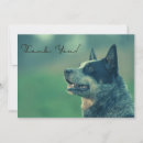 Search for australian cattle dog cards Puppy