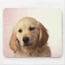 Search for animals one mouse mats Head and shoulders