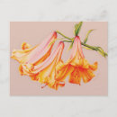 Search for sarah horizontal postcards For her