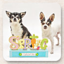 Search for guide coasters Dog