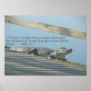 Search for alligators posters Animals