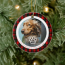 Search for new dog christmas tree decorations Pet photo