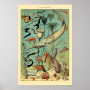 Search for aquatic posters Sea