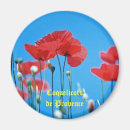 Search for poppies magnets Refrigerator