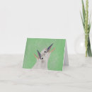 Search for kookaburra cards Animals