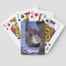 Search for cute rats Rodent