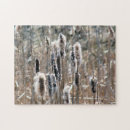 Search for fade puzzles Nature