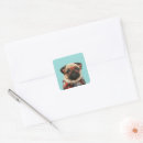 Search for plaid shirt stickers Dog