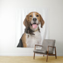 Search for beagle photography Dog