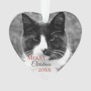 Search for grey and white cat christmas tree decorations Kitty