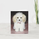Search for poodle christmas cards Pet