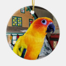 Search for conure christmas tree decorations Parrot