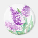 Search for scents magnets Smell