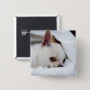 Search for dog photo badges Picture