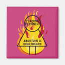 Search for aborted magnets Political