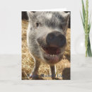 Search for pig mothers day cards Mum