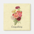 Search for carnations magnets Bouquet