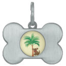 Search for coconuts pet supplies Palm tree