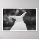Search for curious art Photography