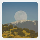 Search for fes stickers Sangre de cristo