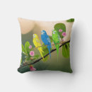 Search for parakeet cushions Colourful