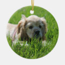 Search for cocker spaniel dog christmas tree decorations Cute