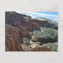 Search for torrey postcards Pacific