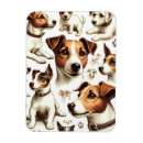 Search for russel magnets Puppy