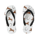 Search for horse shoes Animal