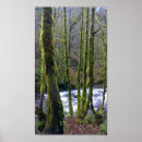 Search for bridal falls posters Veil
