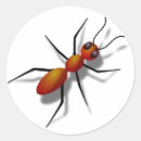 Search for red ant stickers Funny