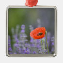 Search for honey bee christmas tree decorations Flower