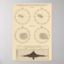 Search for fever posters Lithographed