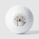 Search for golden retriever golf balls Cute