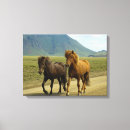 Search for ponies canvas prints Horse