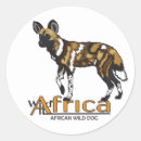 Search for african wild dogs stickers Cape hunting dog