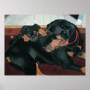 Search for rottie art Puppies