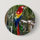 Search for macaws badges Blue