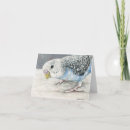Search for budgie postcards Cage
